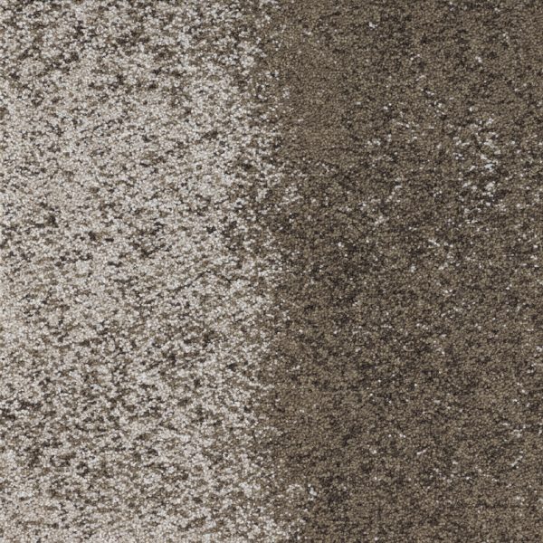 72_dpi_4B3E0051_Sample_carpet_NEXUS LINK_755_BROWN