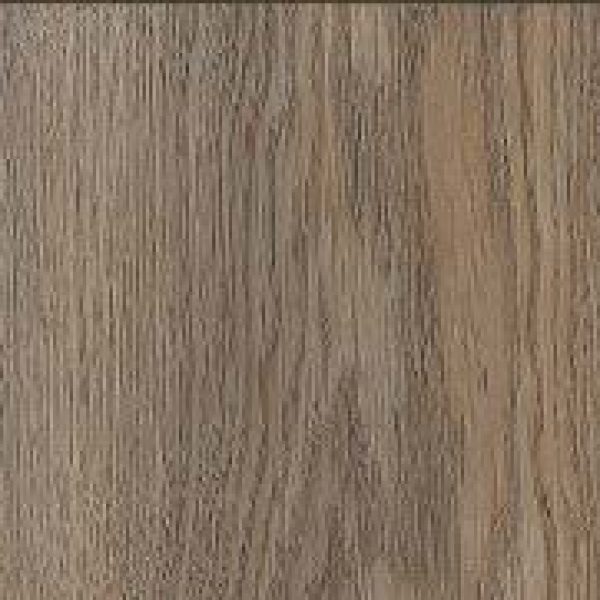 D40762 - Mountain Oak Titanium 2